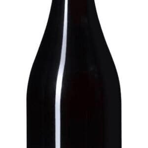 Wild Earth Pinot Noir 2021