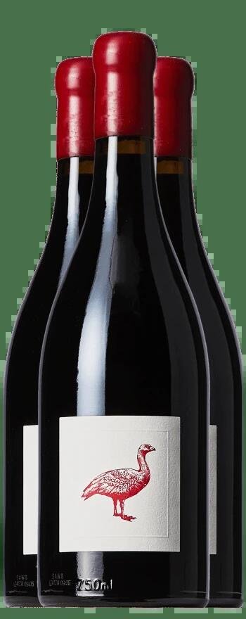 Cape Barren Rare Bird Shiraz 2018 - Wooden Box (3pk)